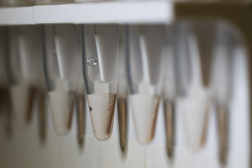 Close-up photograph of test vials