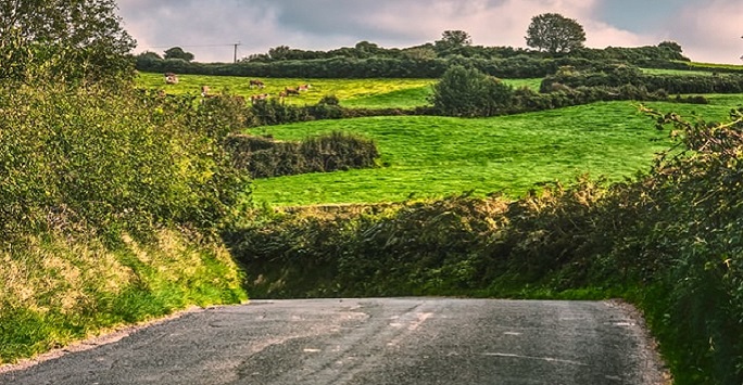 countryside with winding road