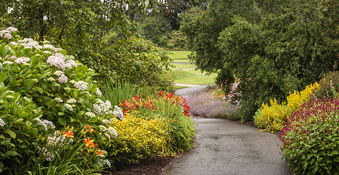 A path through Ness Botanic Gardens.