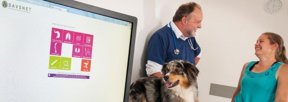 Male vet and female client with Collie dog looking at computer screen showing the SAVSNET window