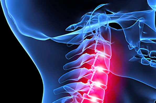 Rheumatology 