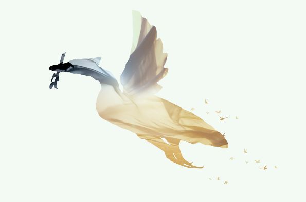XJTLU bird