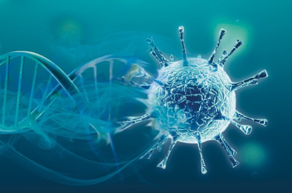 bacteria