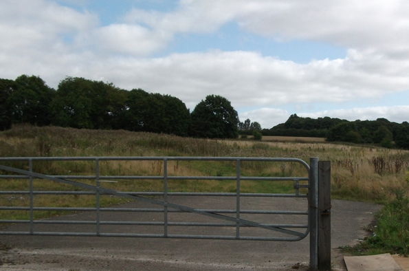 Green belt Image