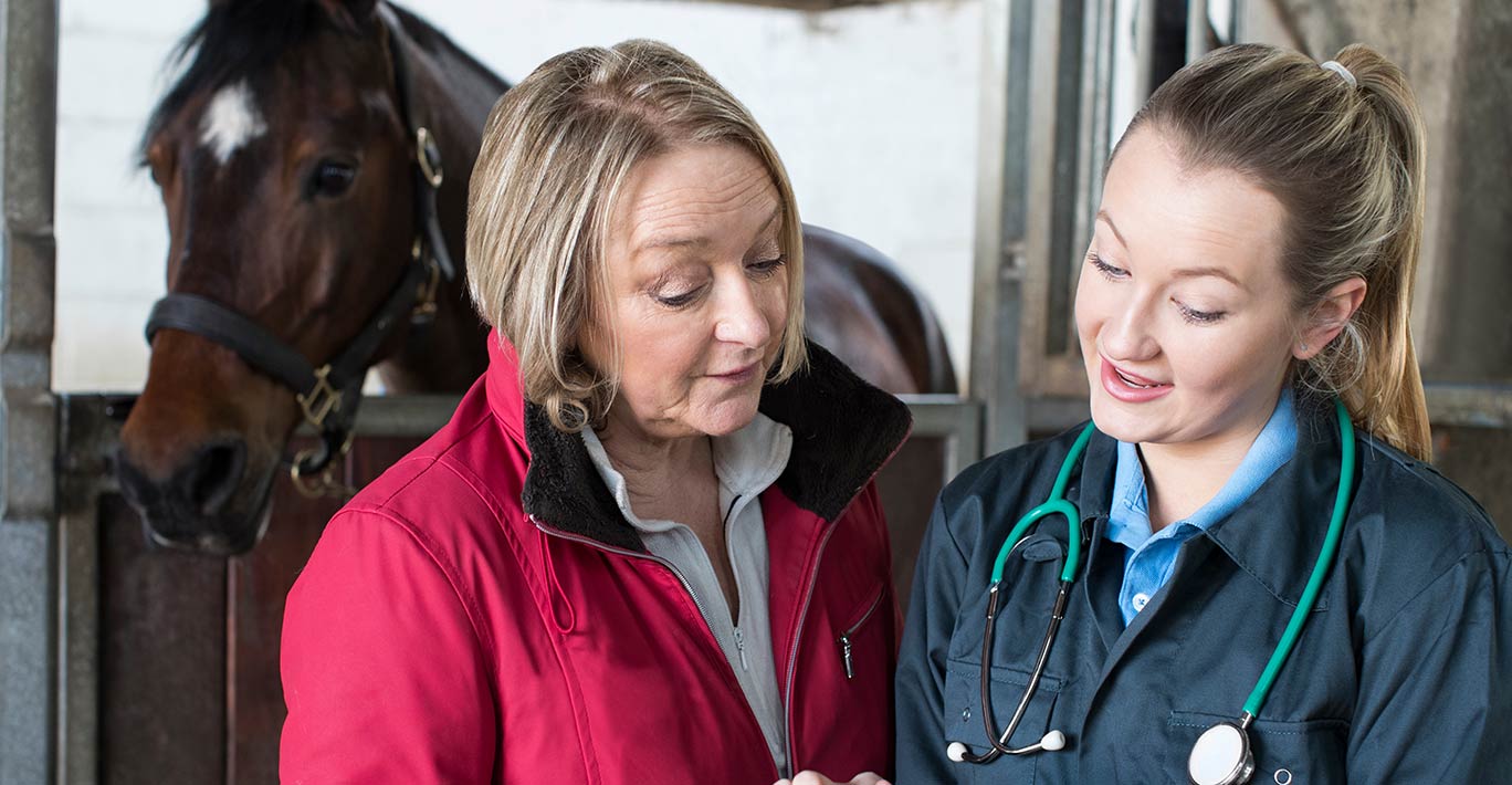 A female vet examines a horse In stables, with the owner also present.