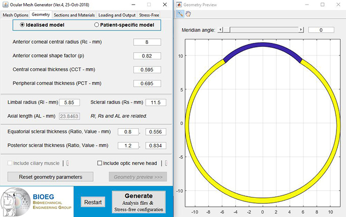 Ocular model meshing software