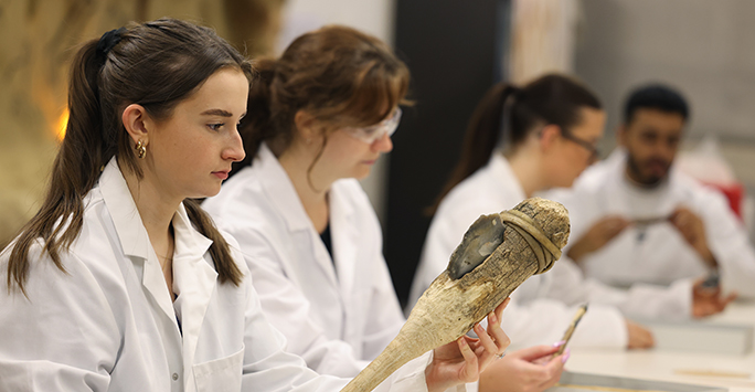 An archaeology student examines an object during a practical session in a laboratory.