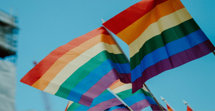 image of Pride flags