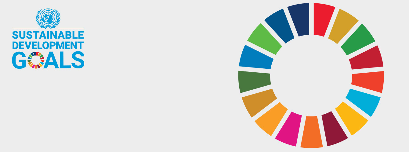 Sustainable Development Goals icons