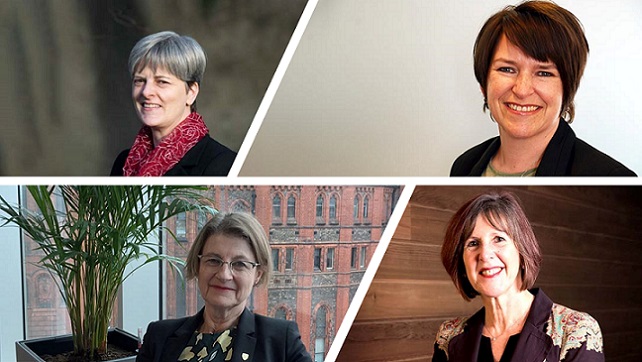 Janet Beer, Dinah Birch, Fiona Beveridge & Nicola Davies