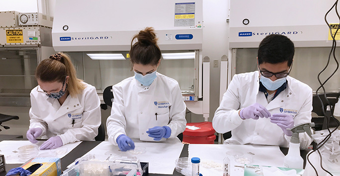 Researchers in lab