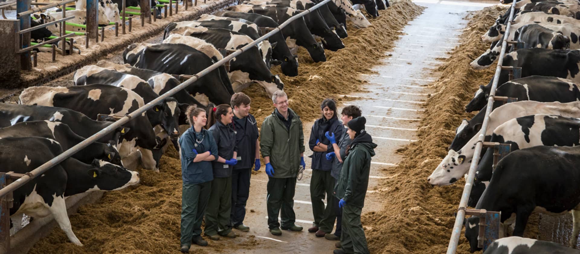 Group of students having a discussion in cow barn