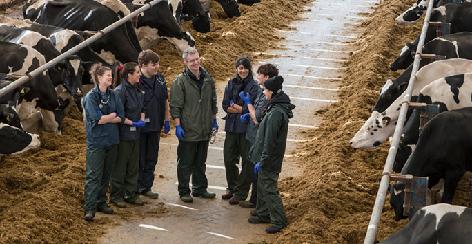 Group of students having a discussion in cow barn