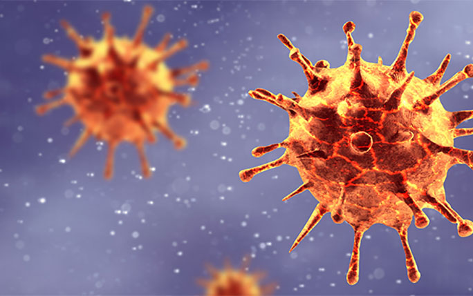 Coronavirus Coronavirus