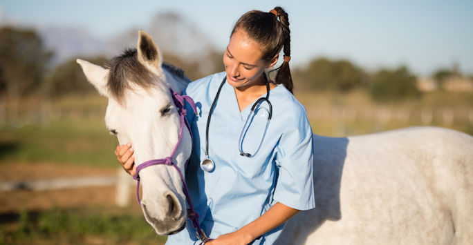 Veterinary student with horse