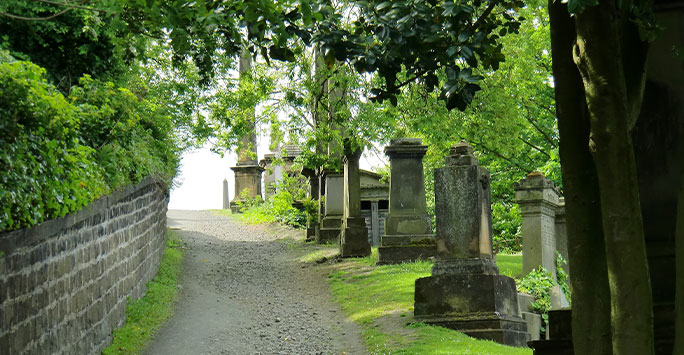 A graveyard lined with trees