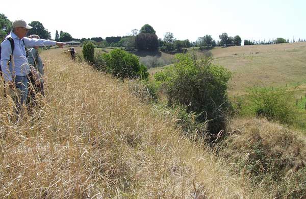 Pā in the process of transition in management with overgrown earthwork defences 