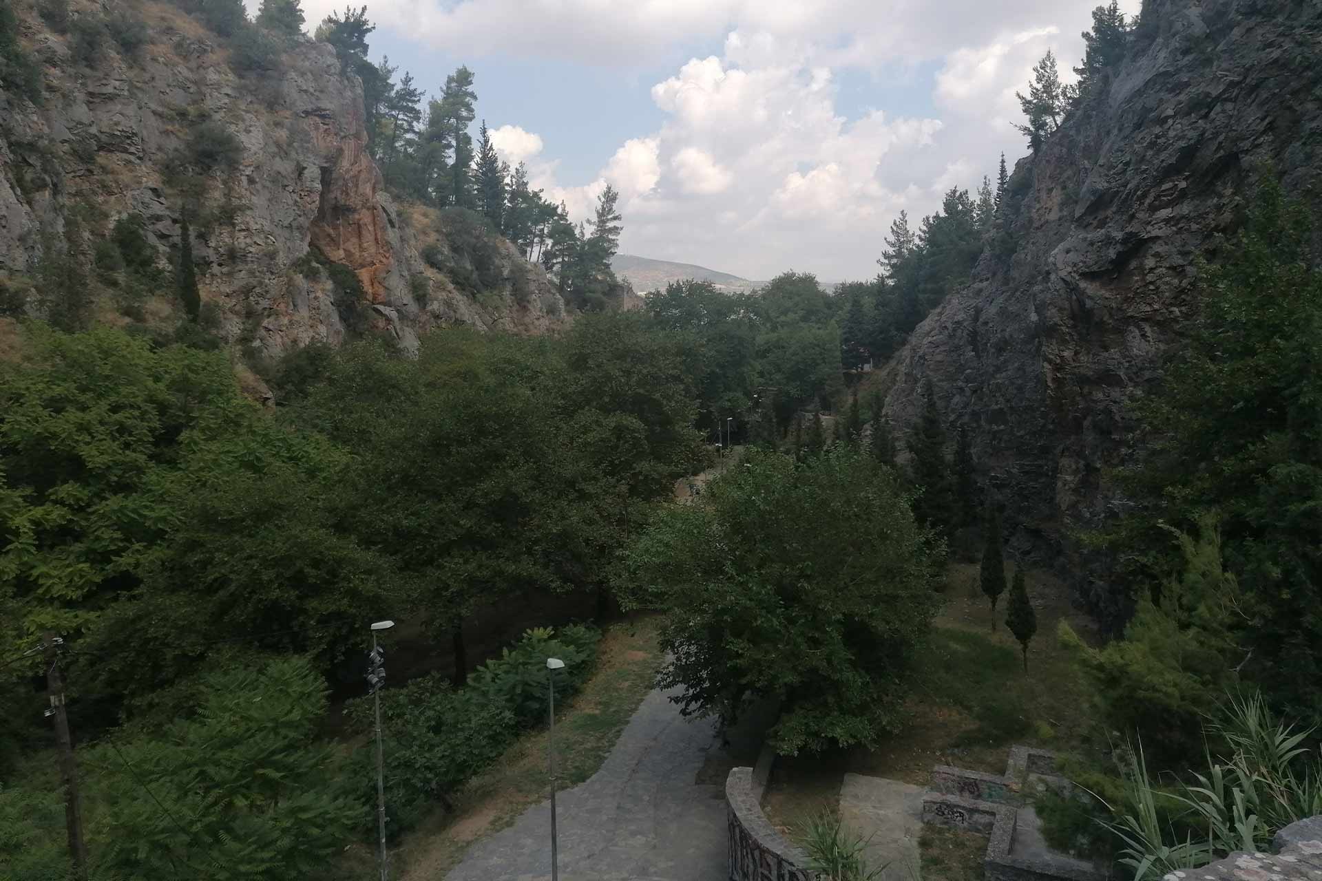 A view looking down on trees with a path converging in the middle of the trees