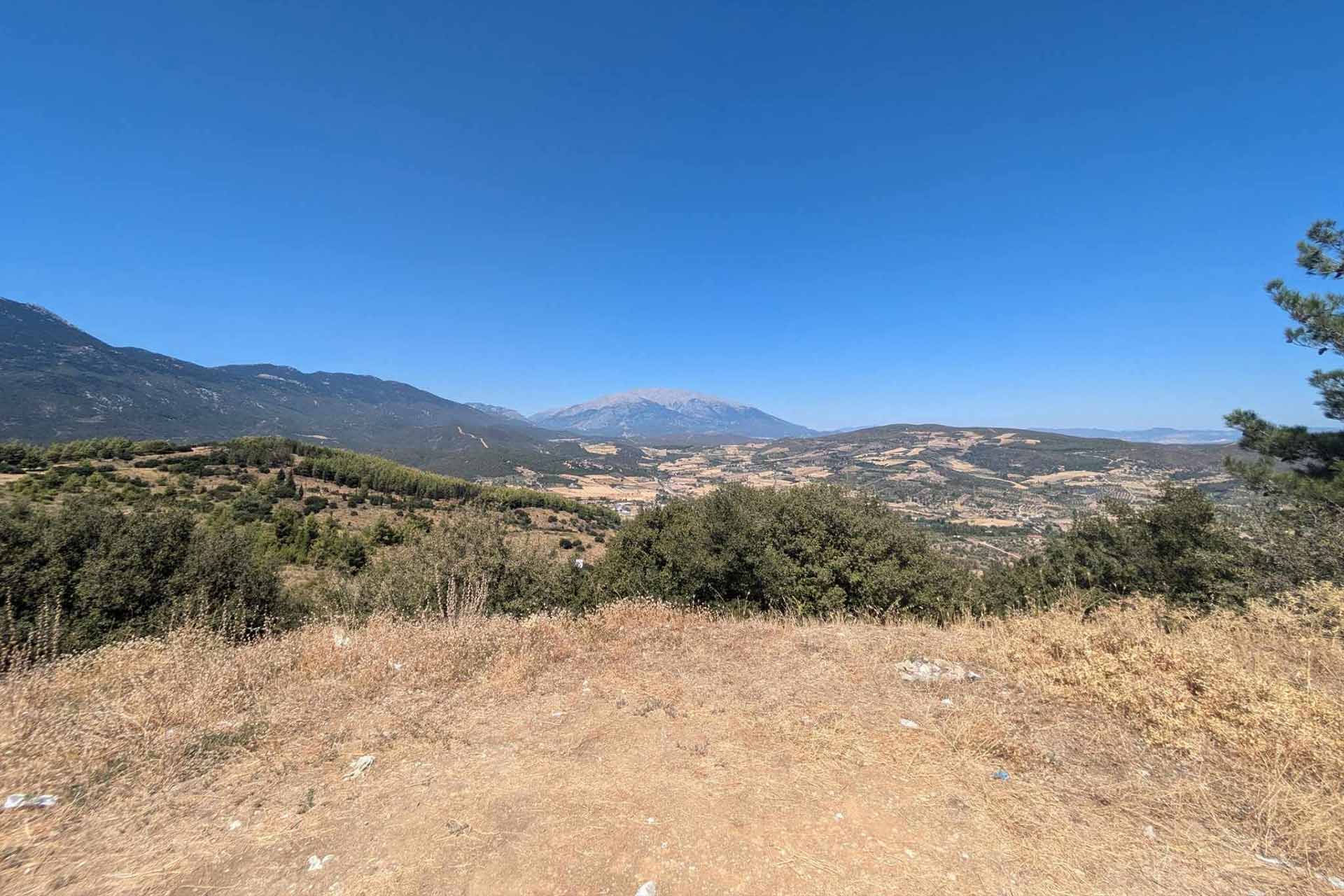 Grassy hills with clear blue sky in the background, and a drier terrain at the forefront
