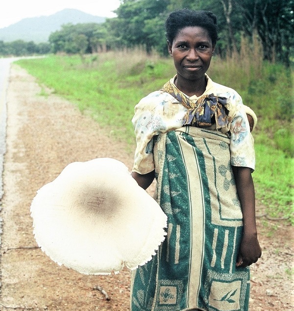 Zambian woman selling giant mushrooms