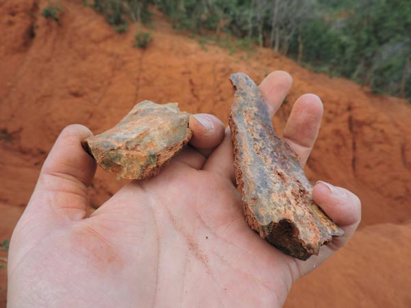 hand holding stone artefacts