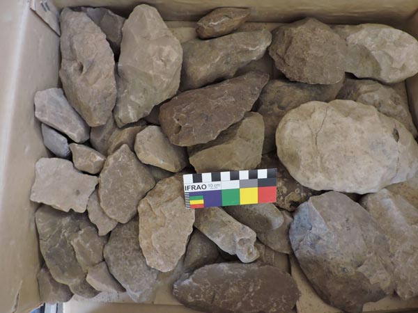 stone tools in a box