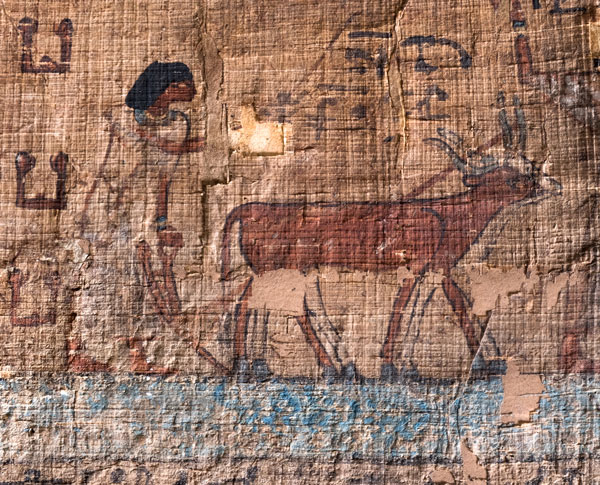 Egyptian illustration of figure and cattle