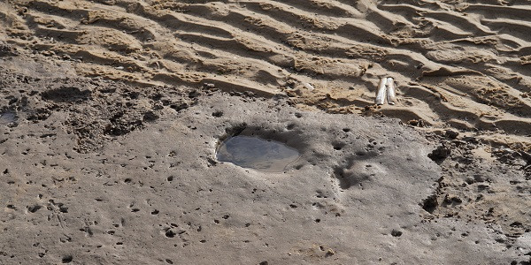 A footprint on Formby Beach