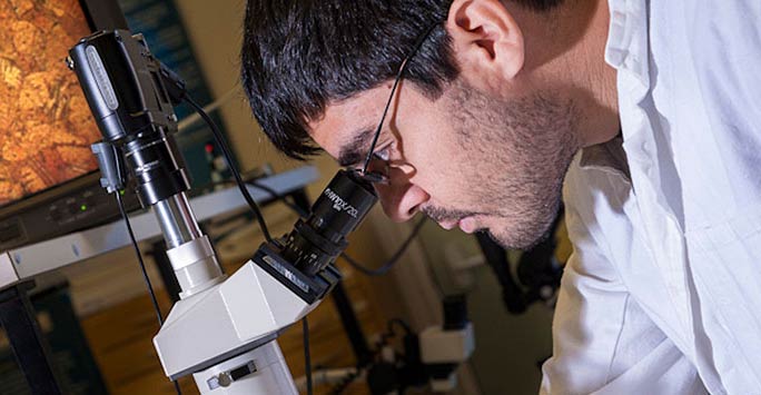 Student looking through a microscope