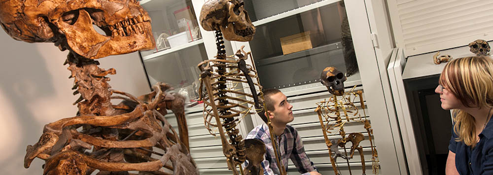 Skeletons in a lab