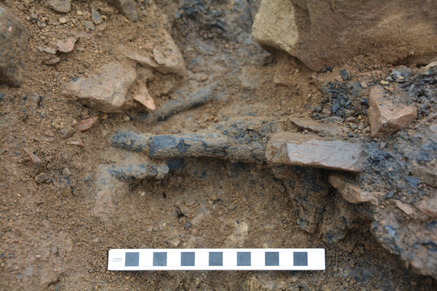 Details of the Late Bronze Age hazel wattle fence 1