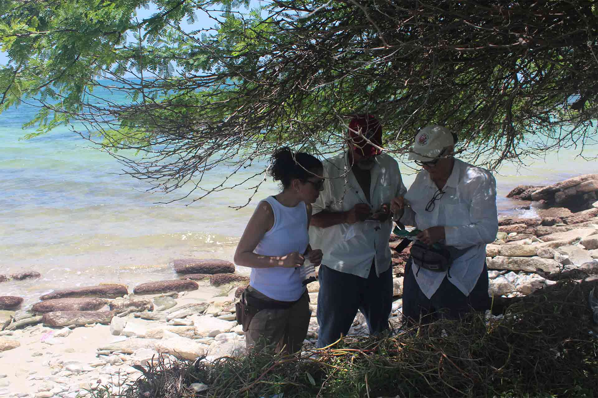 three archaeologists discussing findings during archaeological survey