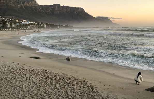 Woman crouching on sandy beach in front of palm trees and mountains at sunset.