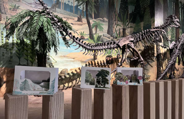 Three small accordion like paper sculptures depicting the structure and depth of forests, they rest on a series of wooden posts in front of two large reconstructed dinosaur skeletons. The wall is painted with a mural depicting a prehistoric forest scene.