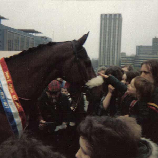 Racing horse Red Rum meeting people, one of whom is stroking his nose