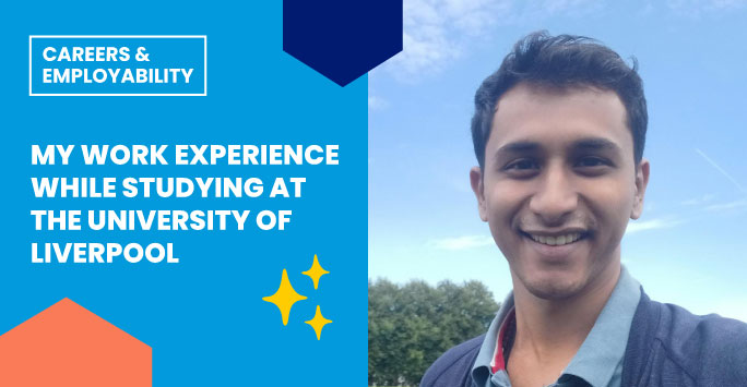 My Work Experience: Surya