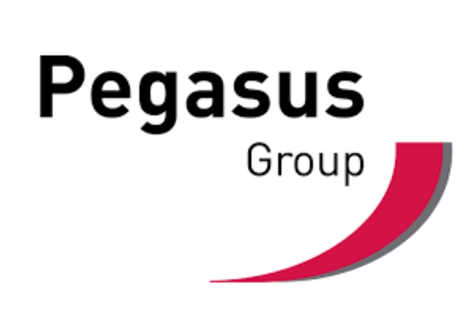 Pegasus group logo