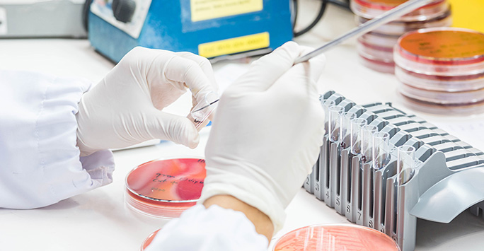 Medical technicians working on bacterial culture and drug resistance of pathogens in lab