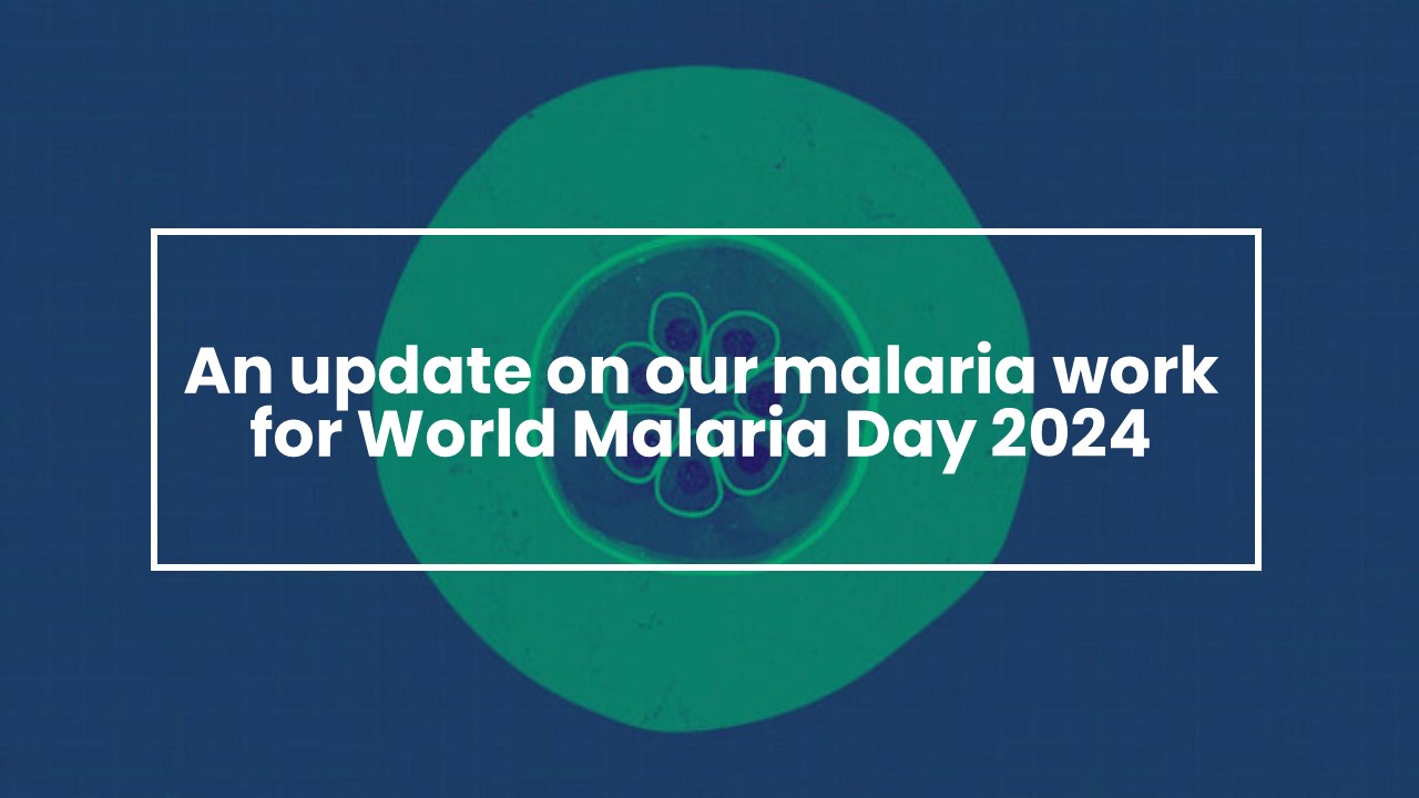 An update on our malaria work for World Malaria Day 2024