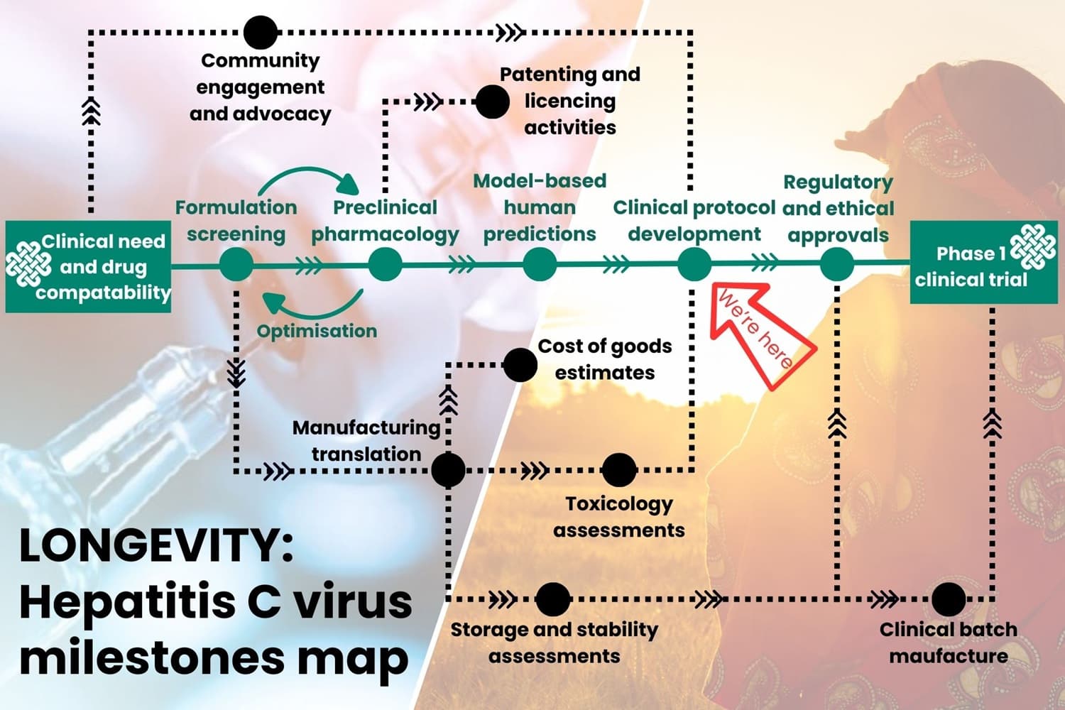 This is a map of the milestones that make up LONGEVITY's HCV journey. We are currently at the 'developing clinical protocol' stage.