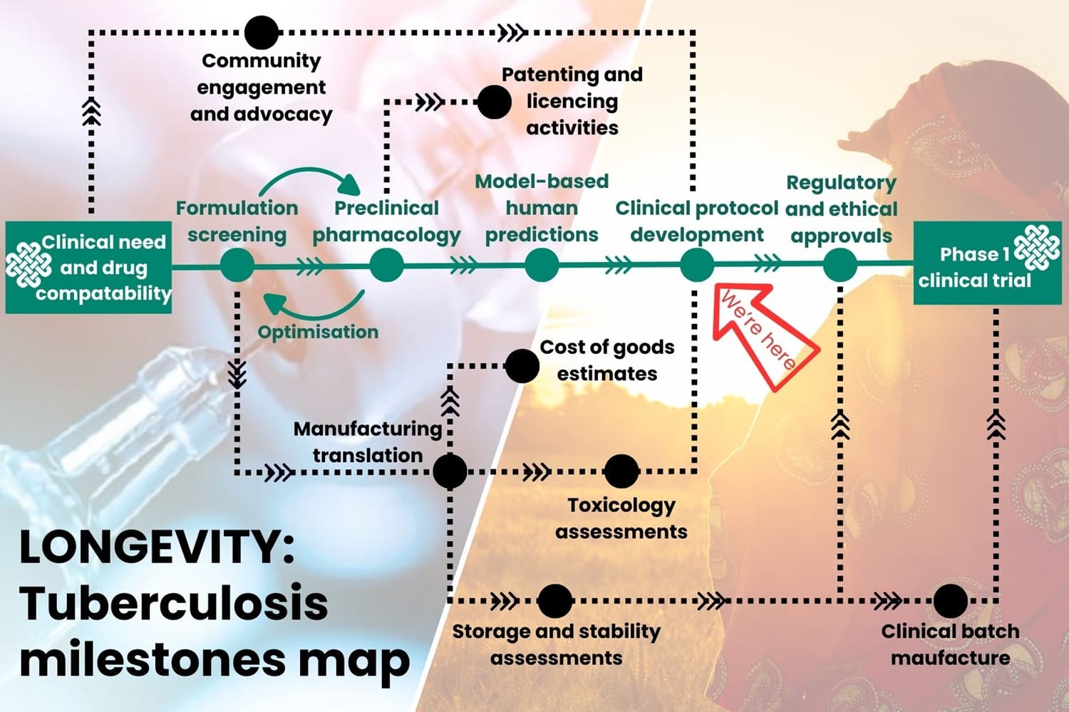 this is a map of the milestones that make up LONGEVITY's TB journey. We are currently at the 'developing clinical protocol' stage.