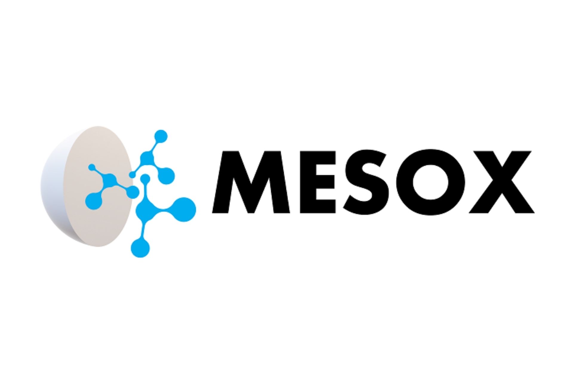 Mesox logo is a sideways bowl with a molecule strand coming out. The word 