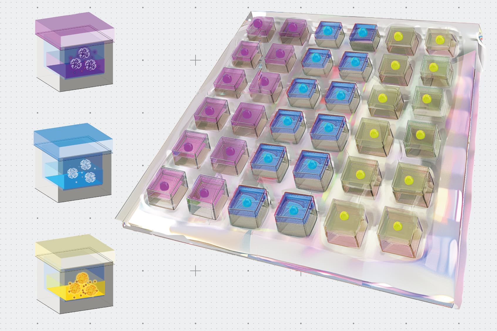 MIT engineers have developed a flexible drug-delivery patch that can be placed on the heart after a heart attack to help promote healing and regeneration of cardiac tissue. The patch is designed to carry several different drugs that can be released at different times, on a pre-programmed schedule. (Image courtesy of the researchers)