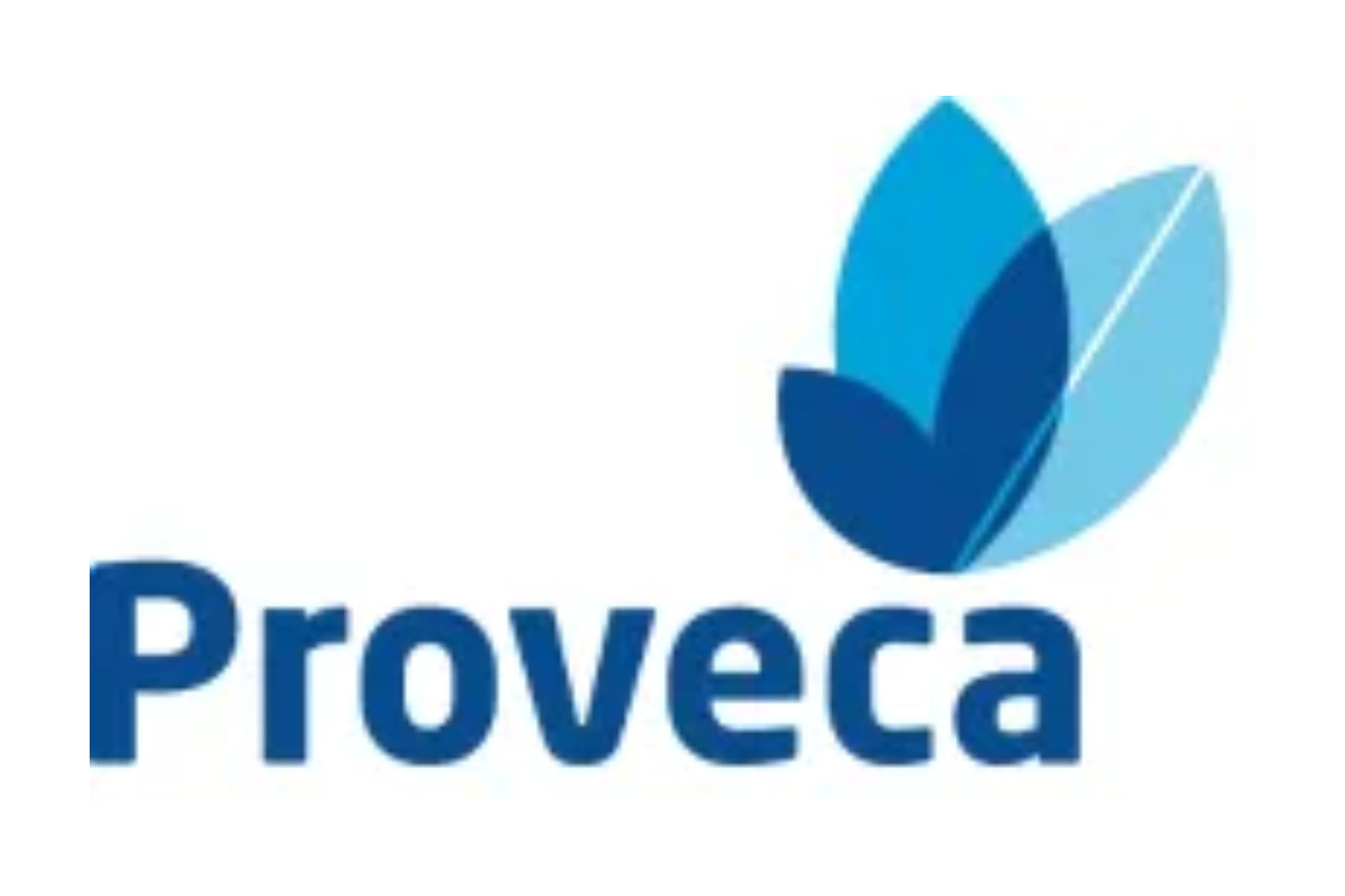 The Proveca logo is the company name with some leaf shapes in the top right