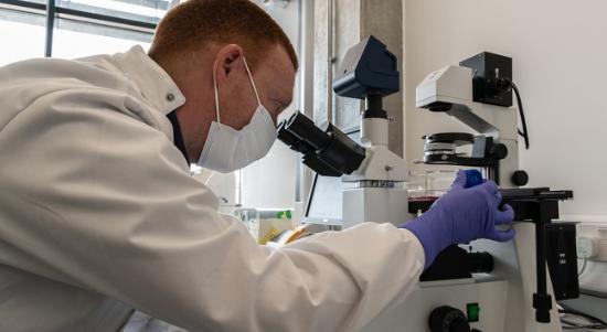A scientist is working in their lab