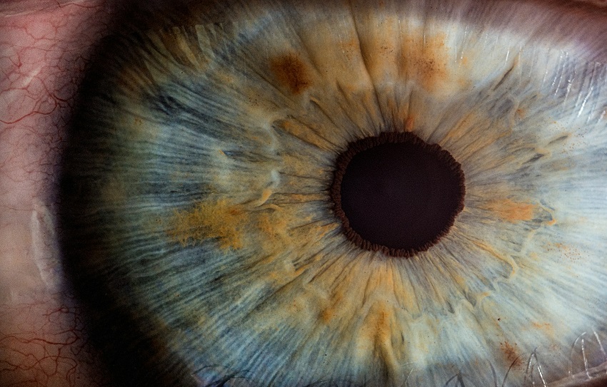A very close up and detailed image of a human eye