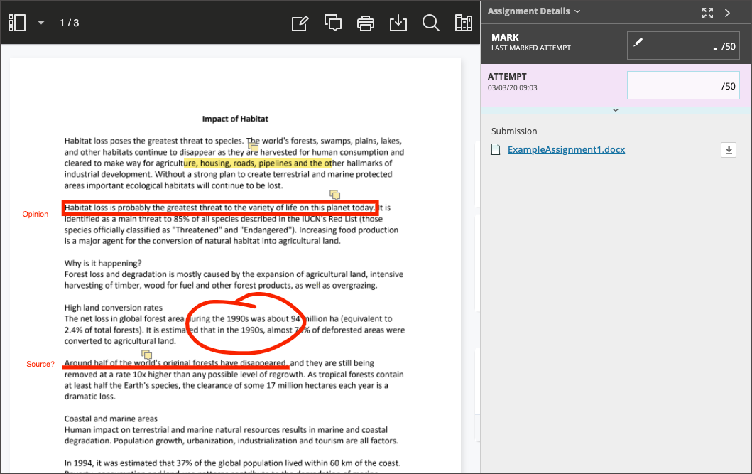 Bb Annotate Instructor in full view