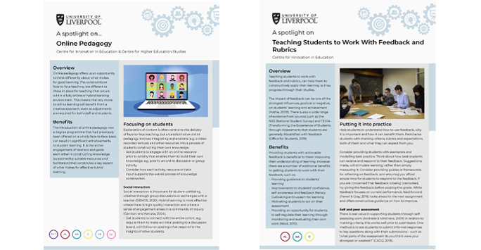 Online Pedagogy and Teaching Students to Work with Feedback and Rubrics Spotlight Guides