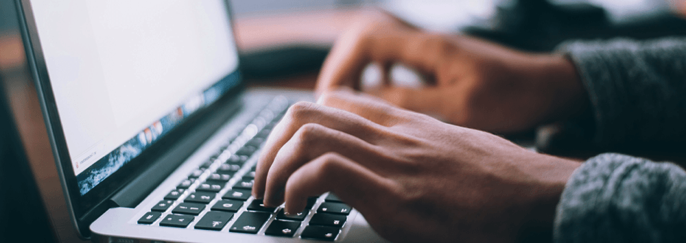 Person Typing on Laptop