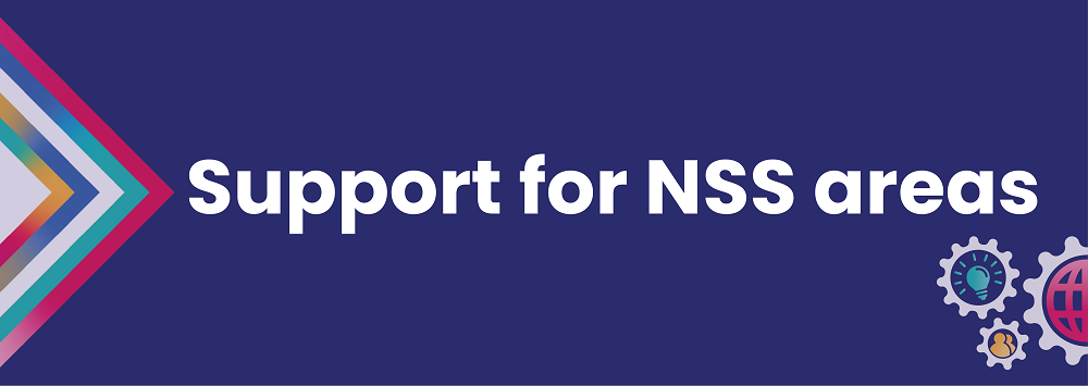 Support for NSS Areas